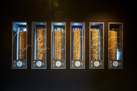 Soil samples display in the Casa Chianti Classico Convento di Santa Maria Radda in Chianti Tuscany Italy