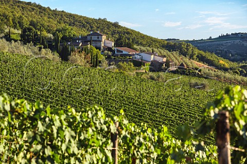 Vineyards and winery of Colle Bereto Radda in Chianti Tuscany Italy  Chianti Classico