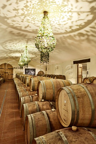 Barrel cellar of Colle Bereto Radda in Chianti Tuscany Italy  Chianti Classico