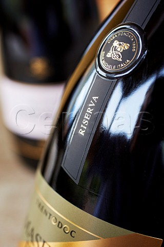 Bottle of sparkling wine of Endrizzi San Michele allAdige Trentino Italy  Trento DOC