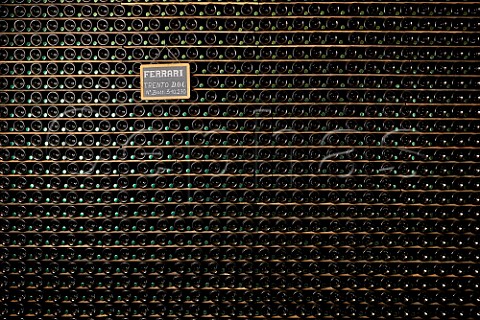 Bottles of sparkling wine in the cellar of Ferrari Winery Ravina Trentino Italy Trento DOC