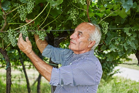 Paolo Malfer of Revi Winery Aldeno Trentino Italy  Trento DOC