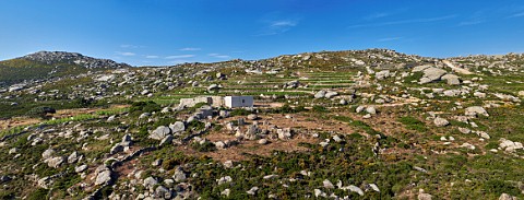 Tasting room in vineyards of Volacus Wine with the granite boulders of the Volax Plateau Falatados Tinos Greece