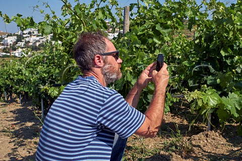 Thanos Georgilas Associate Winemaker photographs the development of Avgoustiatis vines in Agios Dimitrios vineyard of TOinos The photos are then sent to consultant Stphane Derenoncourt  Falatados Tinos Greece