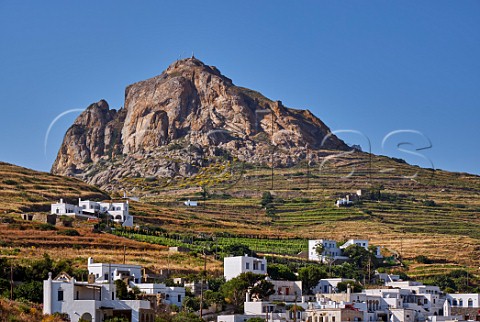 Terraced vineyards of XBourgo below Mount Exomvourgo Tripotamos Tinos Greece