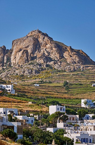 Terraced vineyards of XBourgo below Mount Exomvourgo Tripotamos Tinos Greece