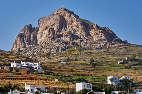 Terraced vineyards of XBourgo below Mount Exomvourgo Tripotamos Tinos Greece