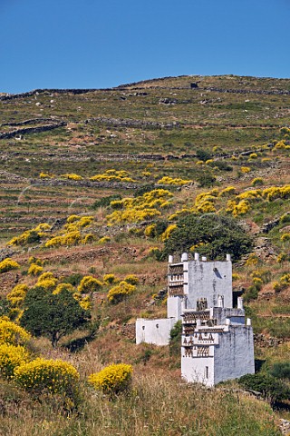 Two of the numerous dovecots near the village of Tarampados Tinos Greece