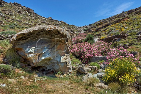 Turtle Head Rock near Kardiani Tinos Greece