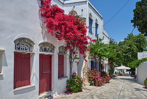 White houses in village of Pyrgos Tinos Greece