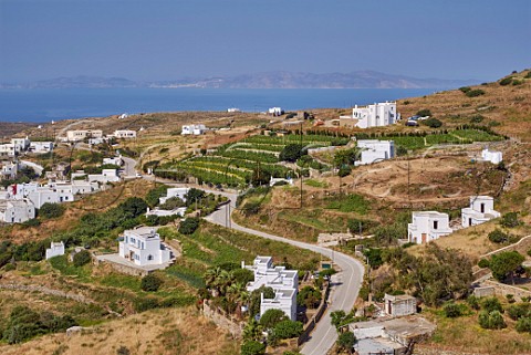 Terraced vineyards of XBourgo with island of Syros in distance Tripotamos Tinos Greece