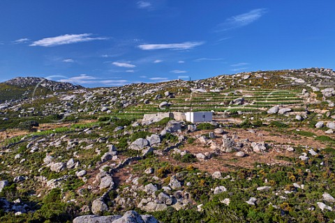 Tasting room in vineyards of Volacus Wine with the granite boulders of the Volax Plateau Falatados Tinos Greece