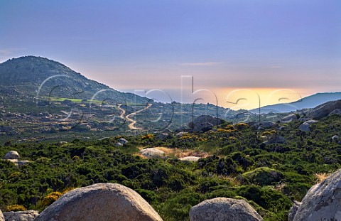 Granite boulders on the Volax Plateau with vineyards of Volacus Wine in distance  Falatados Tinos Greece