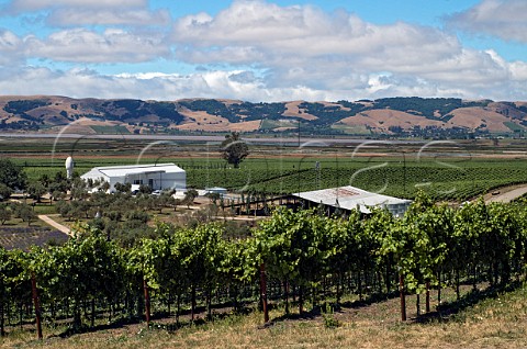 Donum Estate winery and vineyards Sonoma California Carneros