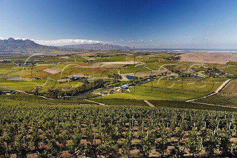 View over vineyards of DeMorgenzon Stellenbosch Western Cape South Africa