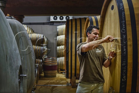 Carl van der Merwe winemaker tasting Chardonnay from barrel in cellar of DeMorgenzon Stellenbosch Western Cape South Africa