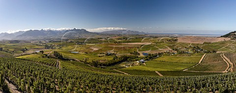 View over vineyards of DeMorgenzon Stellenbosch Western Cape South Africa