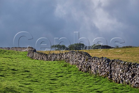 Drystone wall near Stainforth Yorkshire Dales National Park England