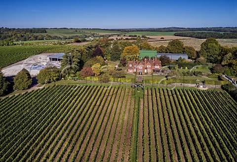 Home Vineyard below Mill Down House with group of tourists Hambledon Vineyard Hampshire England
