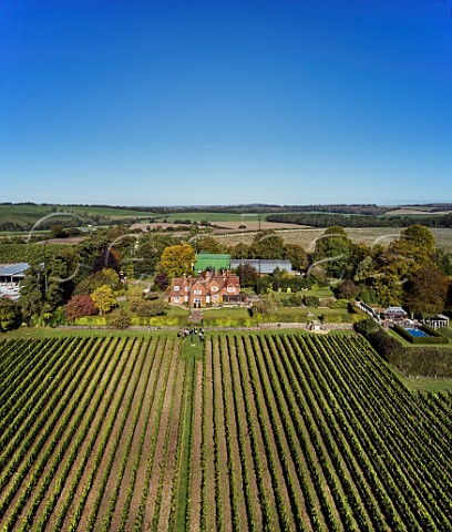 Home Vineyard below Mill Down House with group of tourists Hambledon Vineyard Hampshire England