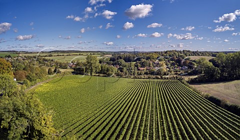 Harnham Hill Vineyard of Raimes Sparkling Wine Cheriton Hampshire England