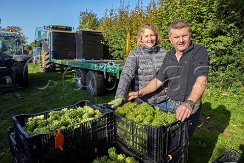 Robert and Augusta Raimes with crates of harvested Chardonnay grapes in Arch Peak vineyard of Raimes Sparkling Wine Hinton Ampner Hampshire England