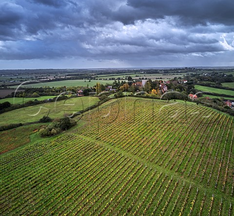 New Hall vineyard below All Saints Church and village of Purleigh with River Crouch in distance Essex England