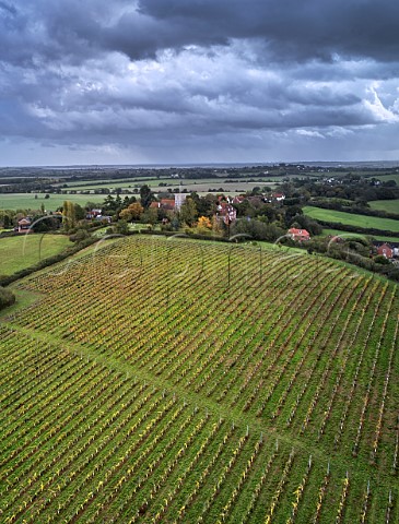 New Hall vineyard below All Saints Church and village of Purleigh with River Crouch in distance Essex England