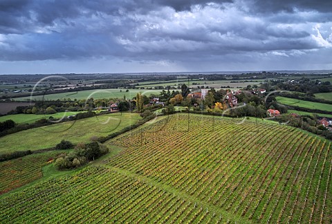 New Hall vineyard below All Saints Church and village of Purleigh with River Crouch in distance Essex England