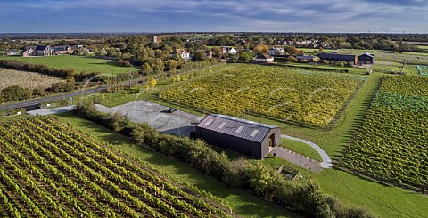 Crouch Ridge vineyard and visitor centre Althorne Essex England