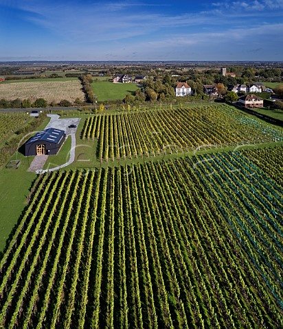 Crouch Ridge vineyard and visitor centre Althorne Essex England