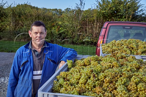 Ross Lonergan with harvested Chardonnay grapes at Crouch Ridge Vineyard  Althorne Essex England