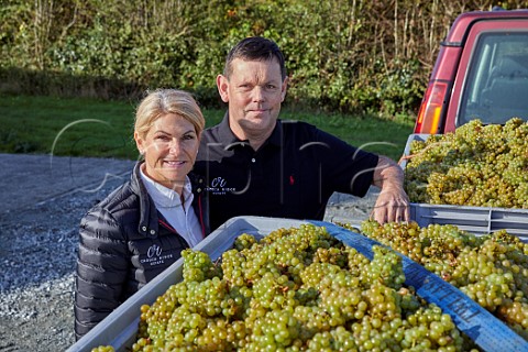 Ross and Samantha Lonergan with harvested Chardonnay grapes at Crouch Ridge Vineyard  Althorne Essex England