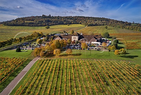 Visitor centre and vineyards of Denbies Wine Estate Dorking Surrey England