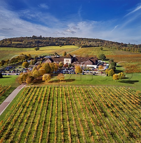 Visitor centre and vineyards of Denbies Wine Estate Dorking Surrey England