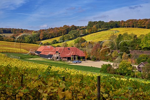 Hundred Hills Vineyard and winery in the Chiltern Hills  Pishill with Stonor Oxfordshire England