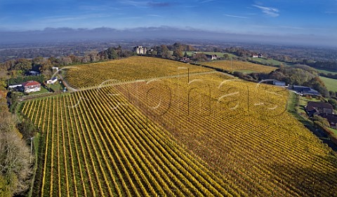 Redfold Vineyards of Ambriel Sparkling Wine Nutbourne Sussex England