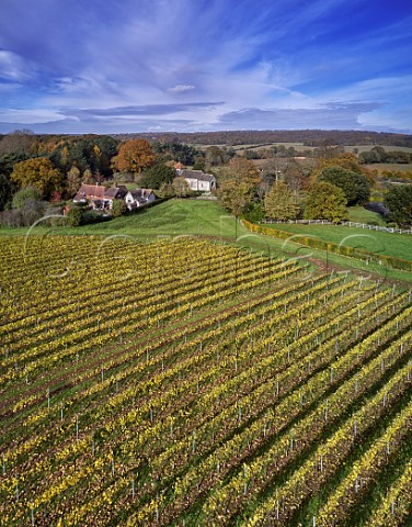 Vineyard of Stopham Estate with the Church of St Mary the Virgin beyond Stopham Sussex England