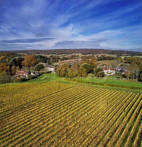 Vineyard of Stopham Estate with the Church of St Mary the Virgin beyond Stopham Sussex England