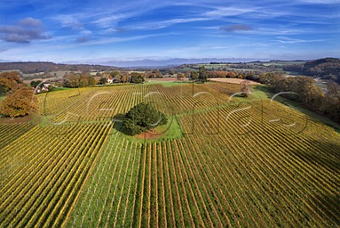 Vineyard of Stopham Estate with the River Arun on right Stopham Sussex England