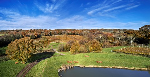 Bluebell Vineyard Estate Furners Green Sussex England