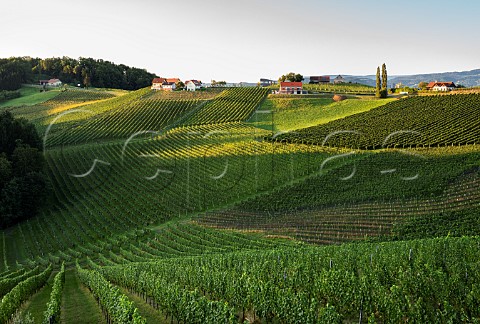 Vineyards near Ratsch an der Weinstrasse Steiermark Austria Sudsteiermark