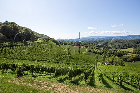 Zieregg Vineyard at Berghausen  Styria Austria Sudsteiermark