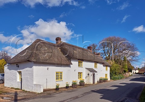 Thatched cottage in village of Winfrith Newburgh  Dorset England