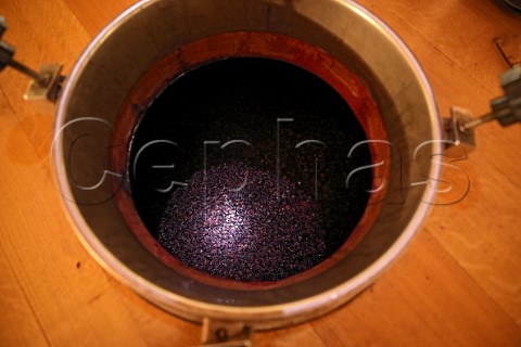 Grapeskin cap on tank of fermenting Nebbiolo in winery of NerviConterno Gattinara Piedmont Italy