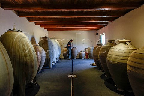 Eben Sadie with his amphorae and concrete egg fermenters Sadie Family Wines Paardeberg Malmesbury South Africa Swartland