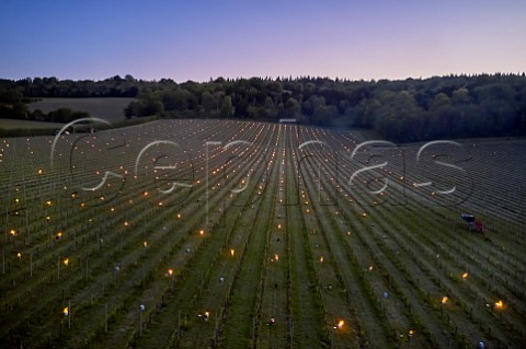 Candles burning on a frosty spring morning at Albury Vineyard Silent Pool Albury Surrey England