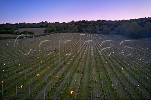 Candles burning on a frosty spring morning at Albury Vineyard Silent Pool Albury Surrey England