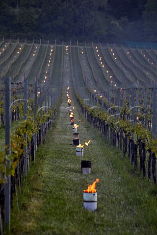 Candles burning on a frosty spring morning at Albury Vineyard Silent Pool Albury Surrey England