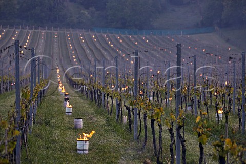 Candles burning on a frosty spring morning at Albury Vineyard Silent Pool Albury Surrey England